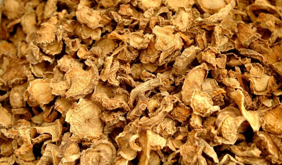 La griffe du diable, un anti-inflammatoire naturel pour dire adieu aux rhumatismes